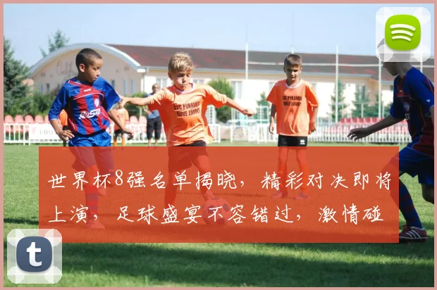 世界杯8强名单揭晓，精彩对决即将上演，足球盛宴不容错过，激情碰撞，谁将问鼎