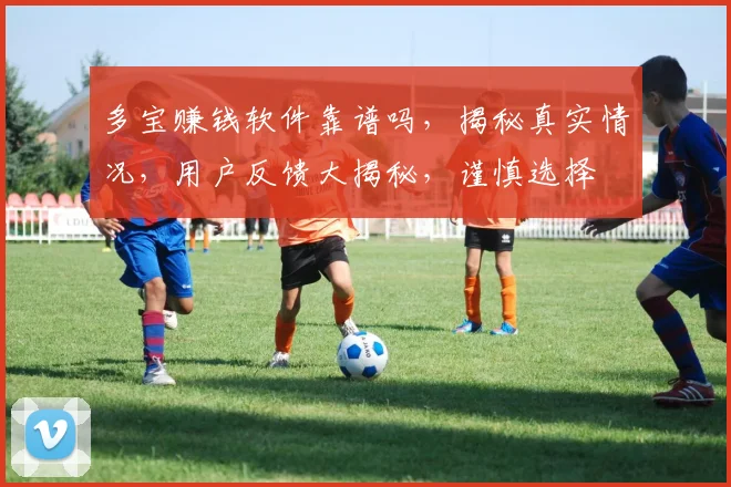 多宝赚钱软件靠谱吗，揭秘真实情况，用户反馈大揭秘，谨慎选择