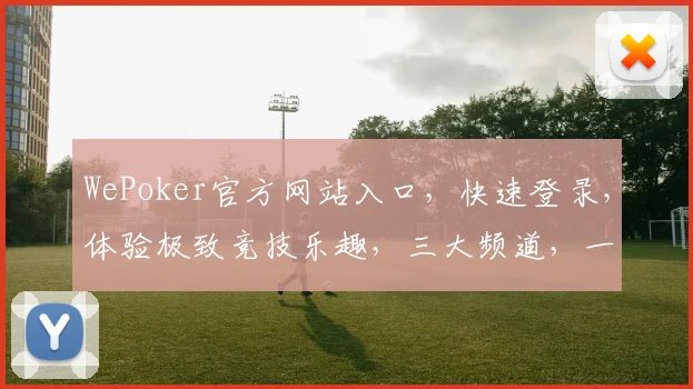 WePoker官方网站入口，快速登录，体验极致竞技乐趣，三大频道，一网打尽