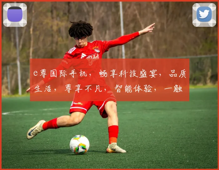 e尊国际手机，畅享科技盛宴，品质生活，尊享不凡，智能体验，一触即达