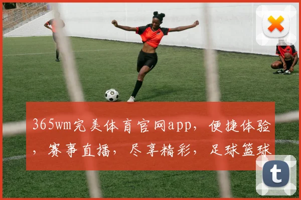 365wm完美体育官网app，便捷体验，赛事直播，尽享精彩，足球篮球，一触即达